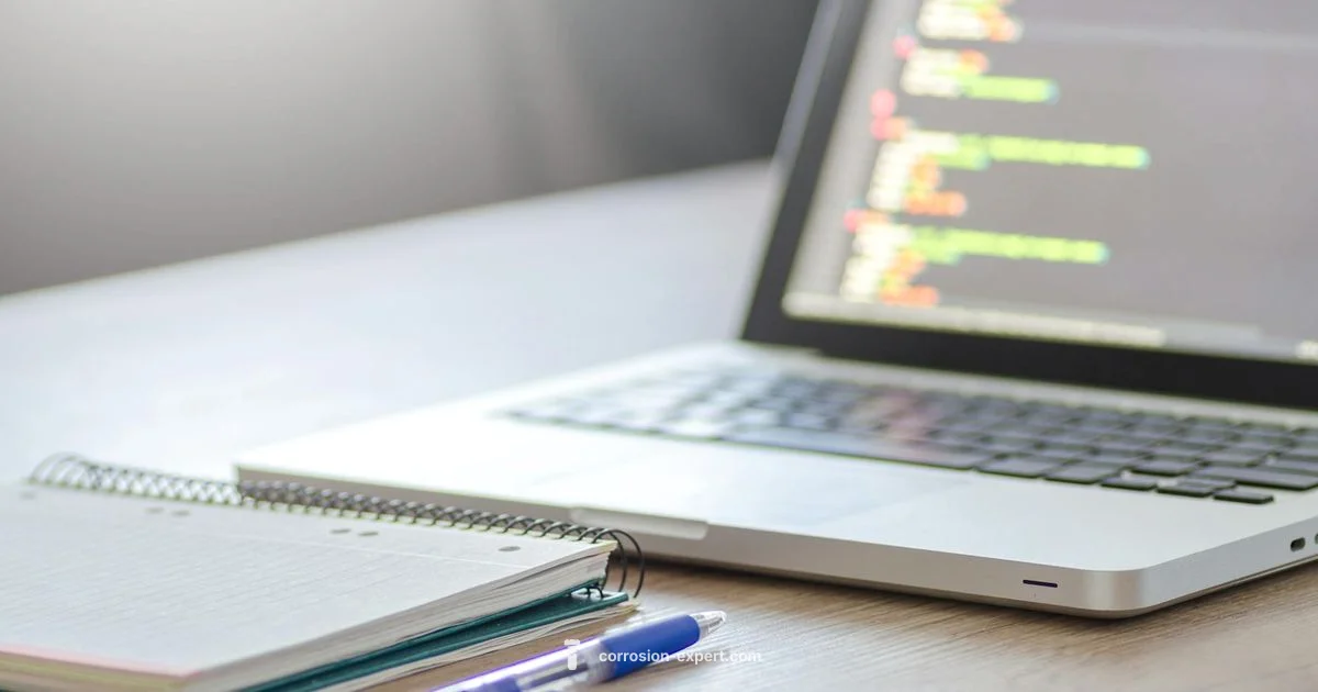 Rust vs Python Rust vs Python - Corrosion Expert