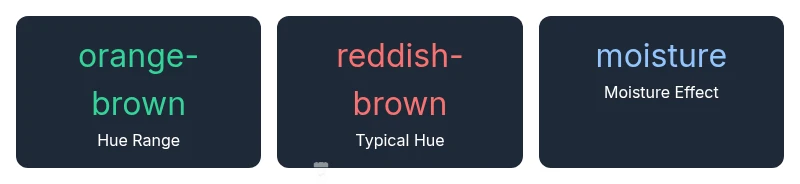 Infographic showing rust color variations and causes
