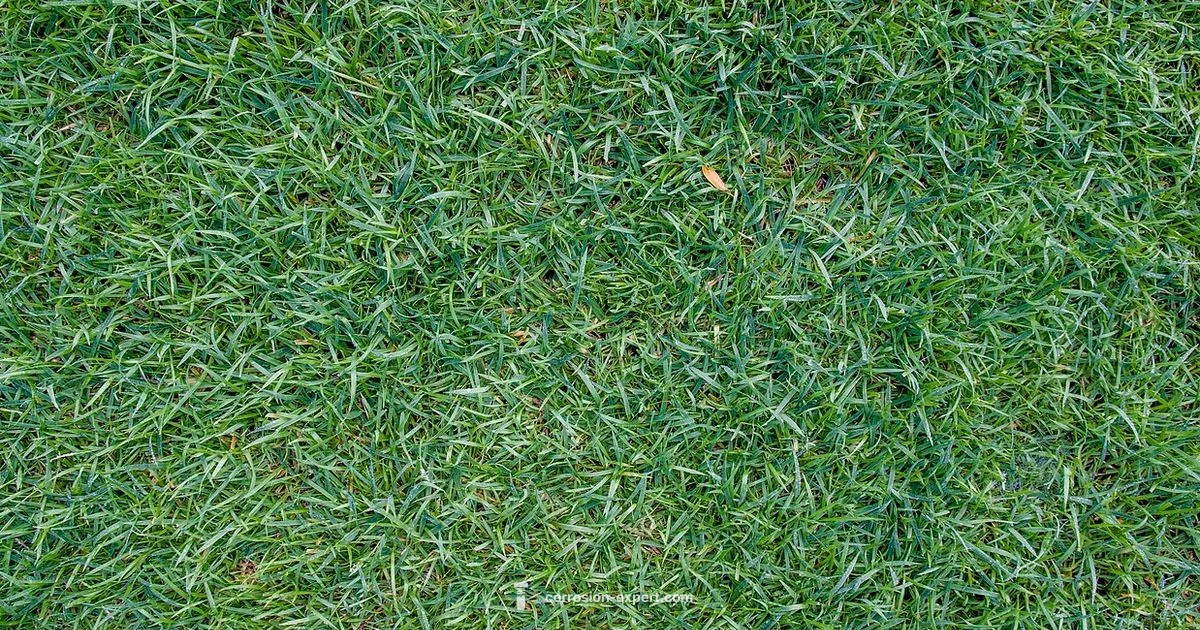 Rust in Grass Guide - Corrosion Expert