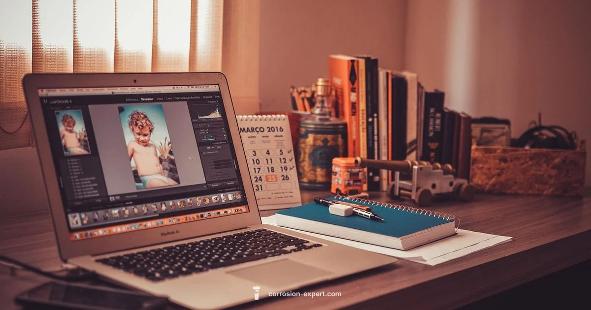 Rust Job Market 2026 - Corrosion Expert