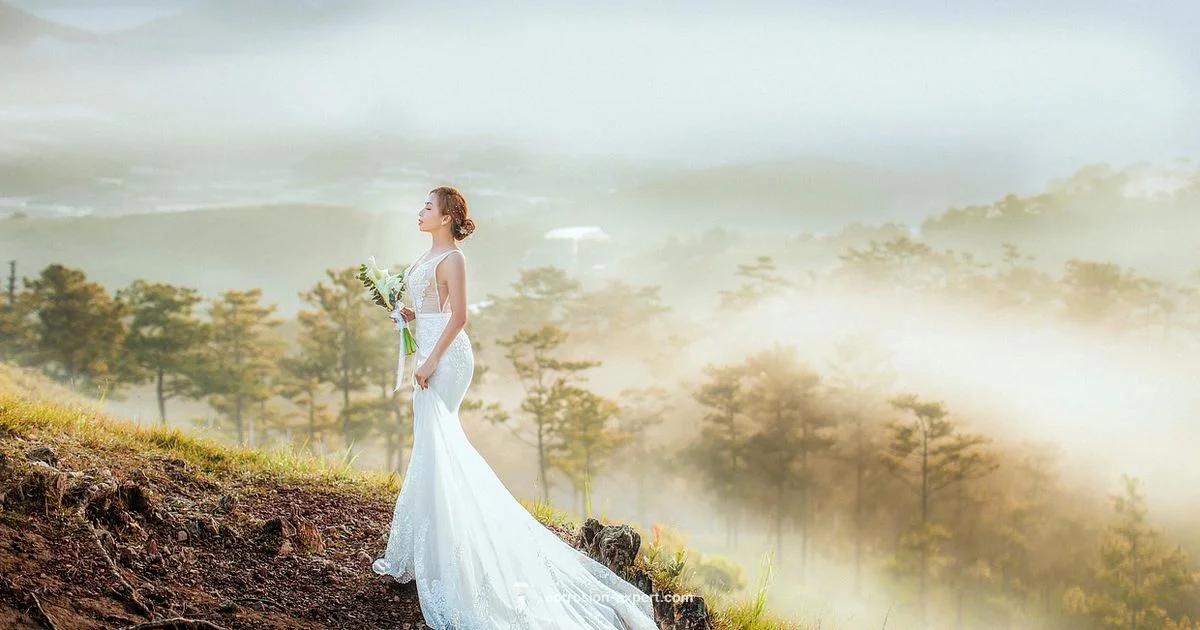 Rust Color Dress - Corrosion Expert