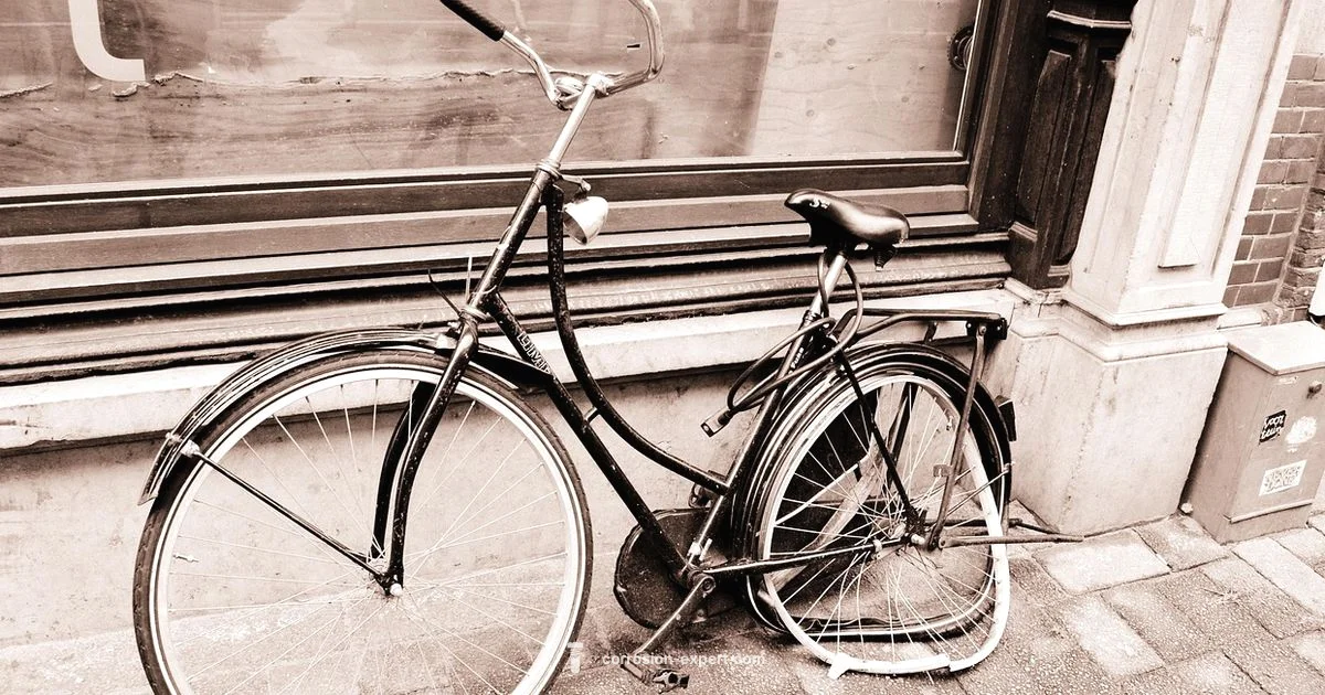 Rust-Free Bike Rust-Free Bike - Corrosion Expert