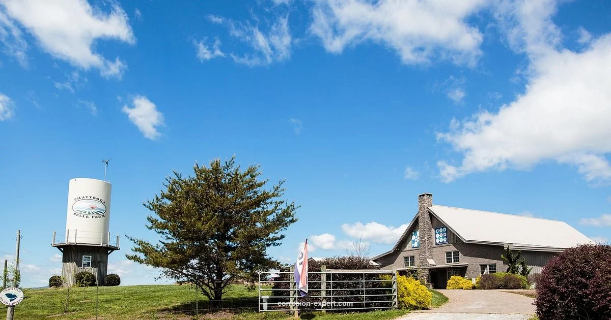 Rustic Romance Rustic Romance - Corrosion Expert