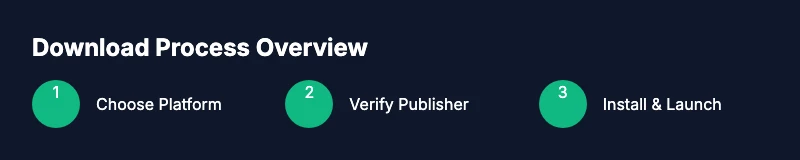 Infographic showing the Rust download process from platform selection to launch