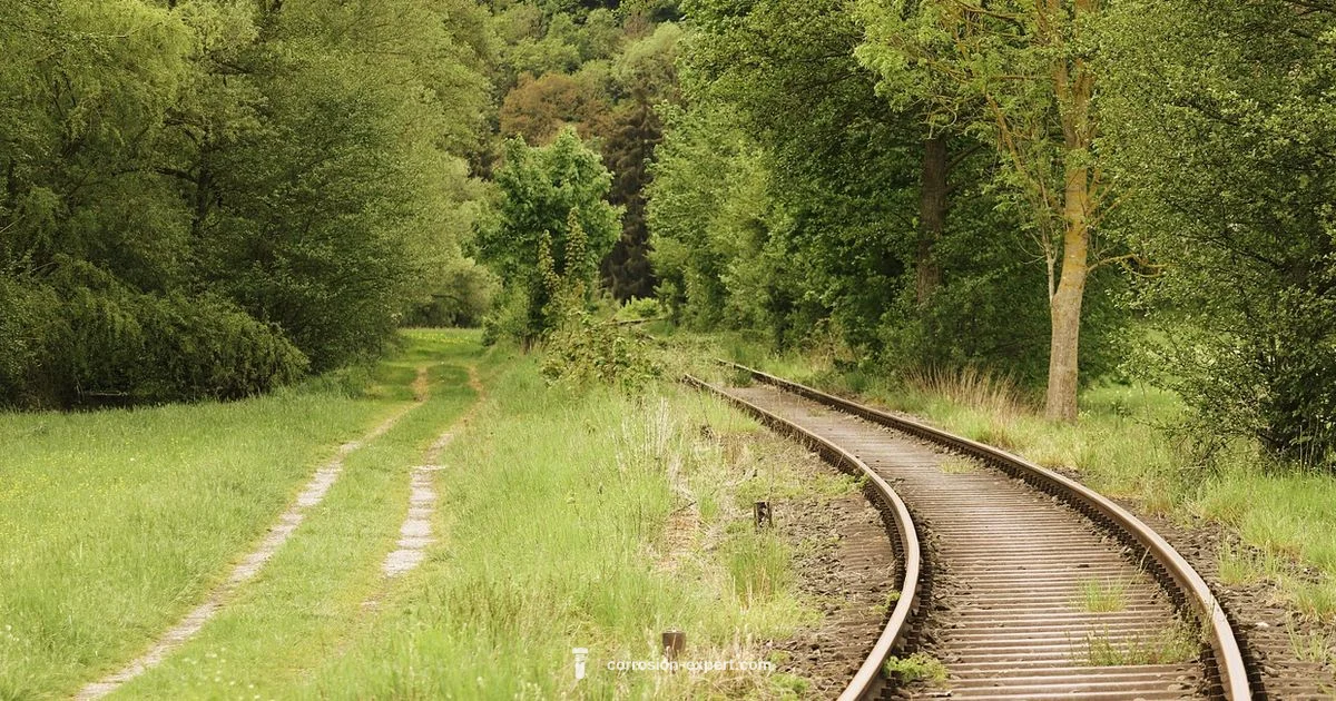 Scale vs Surface Rust - Corrosion Expert