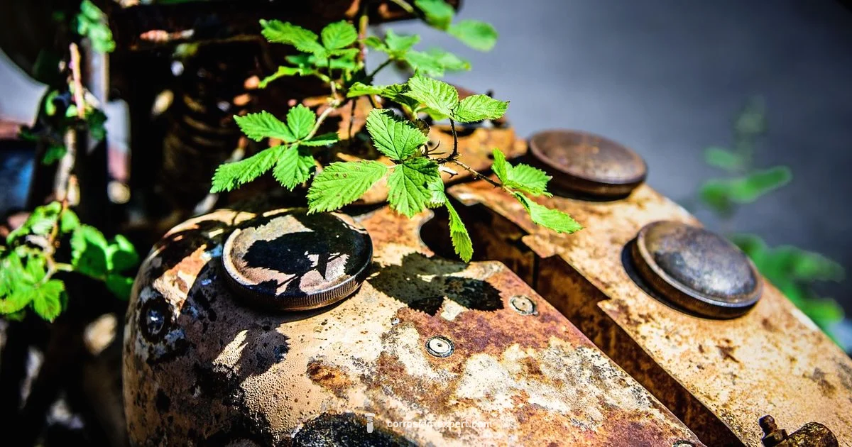 Rust Removal Rust Removal - Corrosion Expert