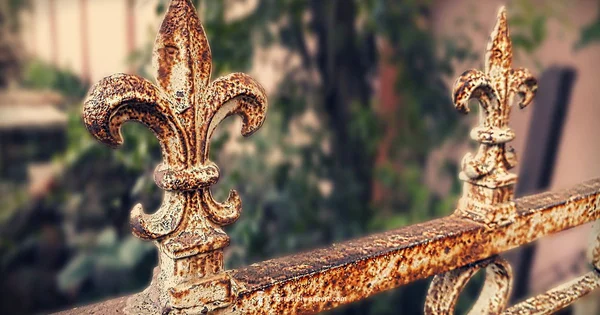 Rust Formation - Corrosion Expert