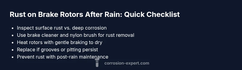 Checklist for rust on brake rotors after rain