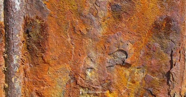 Rust and Bone Guide - Corrosion Expert