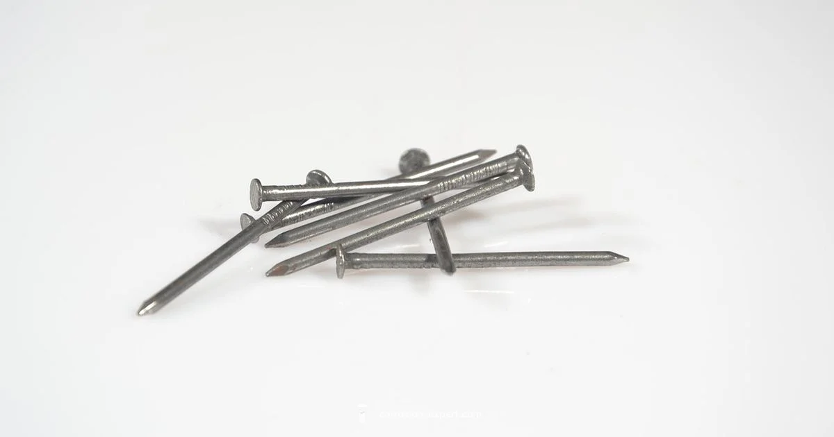 Rust and Tetanus Guide Rust and Tetanus Guide - Corrosion Expert