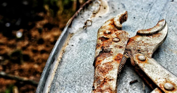 Rusted Tools Fix - Corrosion Expert