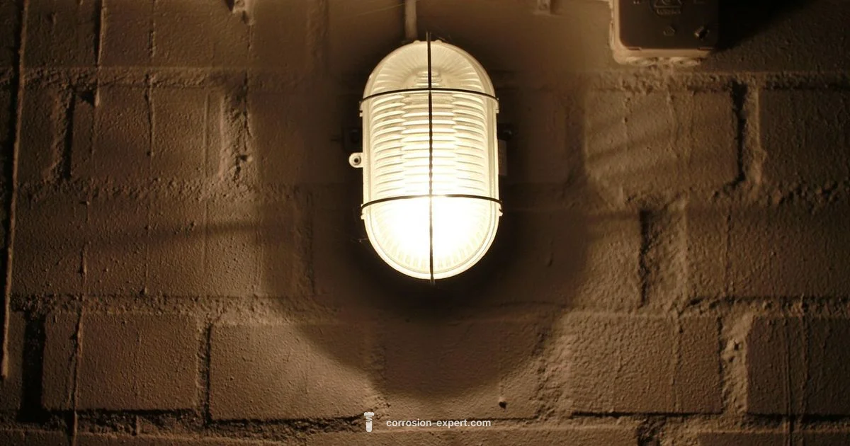 Rust Health Guide - Corrosion Expert