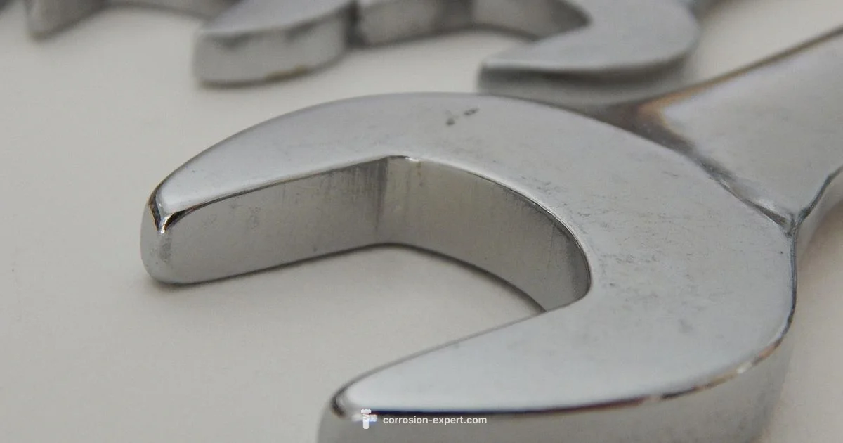 Rust Bucket Insights Rust Bucket Insights - Corrosion Expert