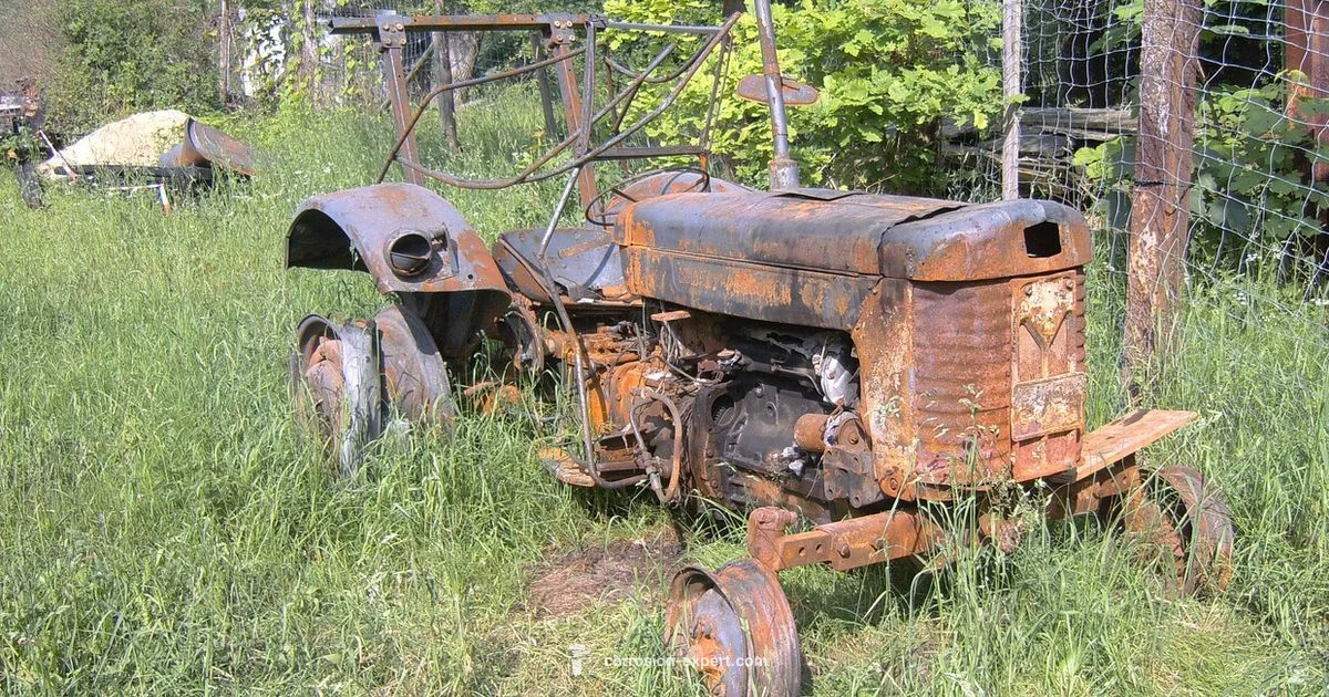 Rust vs Iron Rust vs Iron - Corrosion Expert