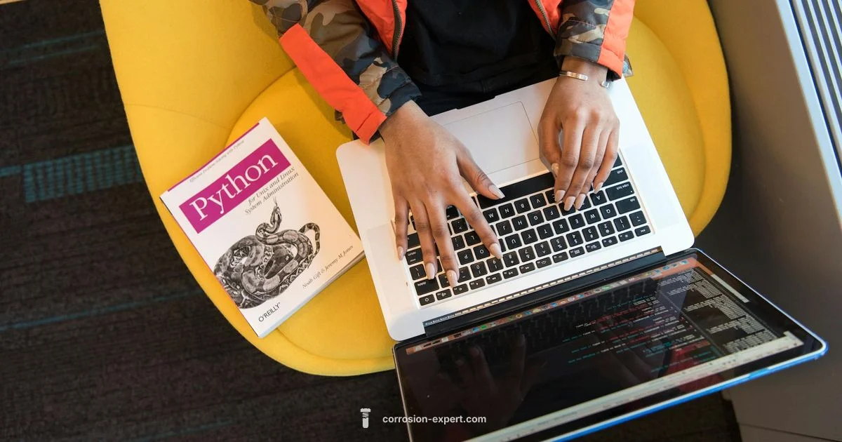 Rust vs Python Rust vs Python - Corrosion Expert