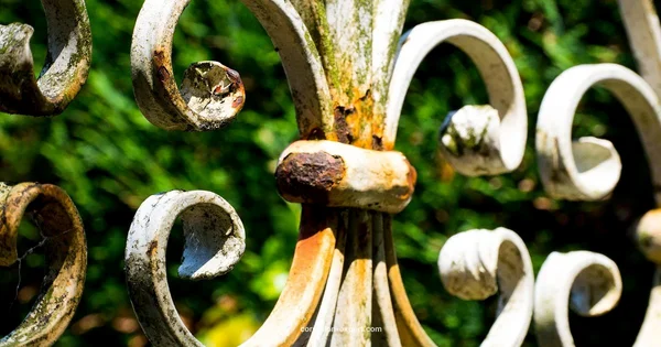 Rust Progression - Corrosion Expert