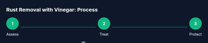 Process flow for removing rust using vinegar