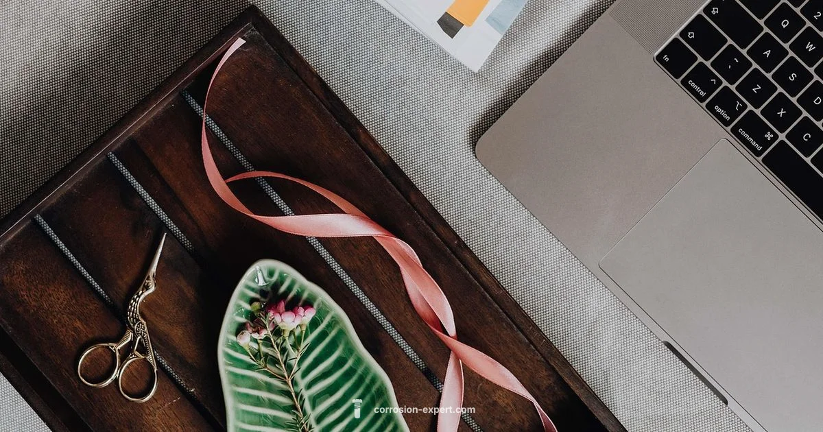 Rust vs C++ Learnability Rust vs C++ Learnability - Corrosion Expert