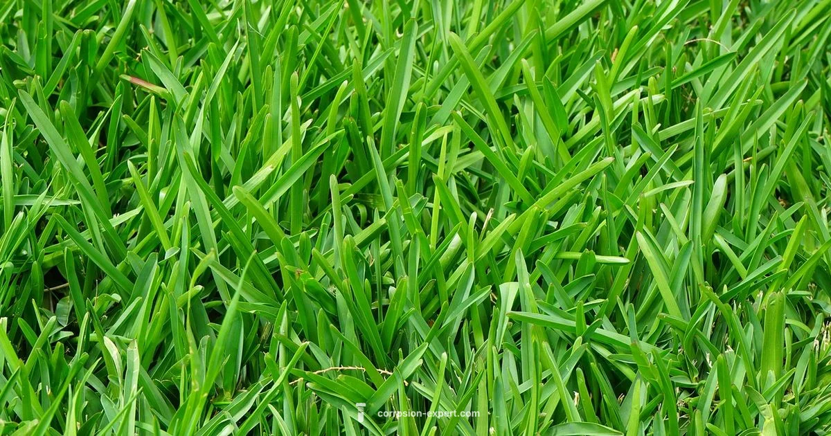 Lawn Rust Treatment - Corrosion Expert